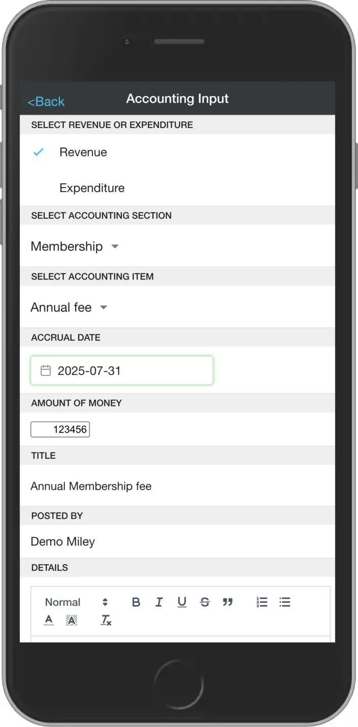 Accounting entry registration screen